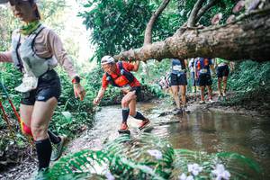 BIB: 
                            <button type="button" onclick="openModal(25461592)" class="btn btn-primary btn-sm float-right btn-popup" data-toggle="modal" data-target=".modal-high-quality">
                        <i class="fas fa-shopping-cart"></i> Add to Cart
                    </button>
                                            <button type="button" onclick="isThisMe(25461592, true)" class="btn btn-success btn-sm float-right btn-popup btn-isme hidden" data-toggle="tooltip" data-placement="bottom" title="นี่คือรูปของคุณใช่ไหม คลิกที่นี่เพื่อเอาเข้าอัลบั้ม">
                        <i class="fas fa-plus"></i> Add to album
                    </button>
                    <button type="button" onclick="isThisMe(25461592, false)" class="btn btn-warning btn-sm float-right btn-popup btn-isnotme hidden">
                        <i class="fas fa-ban"></i> Remove from album
                    </button>